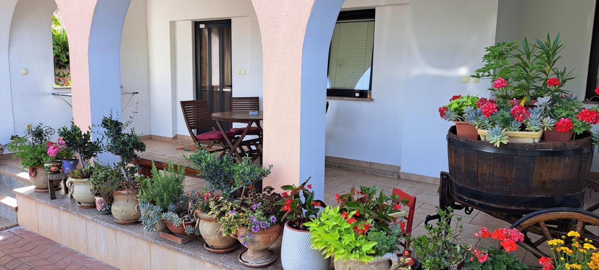 Apartmani Bubnic Umag Luaran gambar