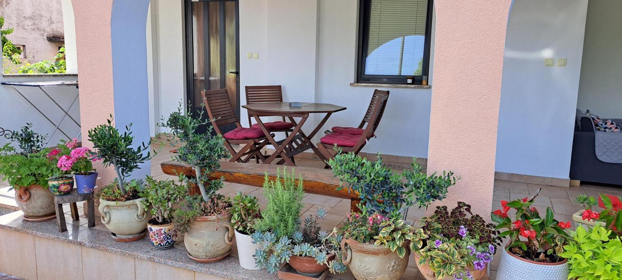 Apartmani Bubnic Umag Luaran gambar